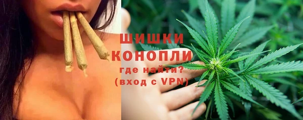 PSILOCYBIN Баксан