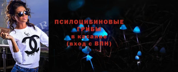 PSILOCYBIN Баксан